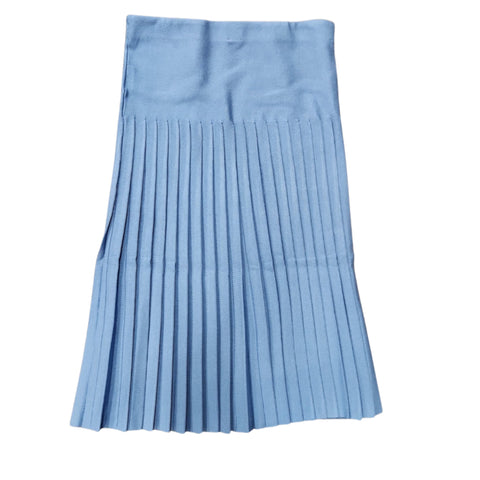 Small Pleated Blue Forever Skirt 27"