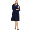 Plus Sharon Dress Blue Herringbone