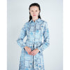 Blue Paisley Toile Dress - The Mimi Boutique