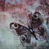 Distressed Butterfly Fringe Tashtari Tichel