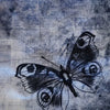 Distressed Butterfly Fringe Tashtari Tichel