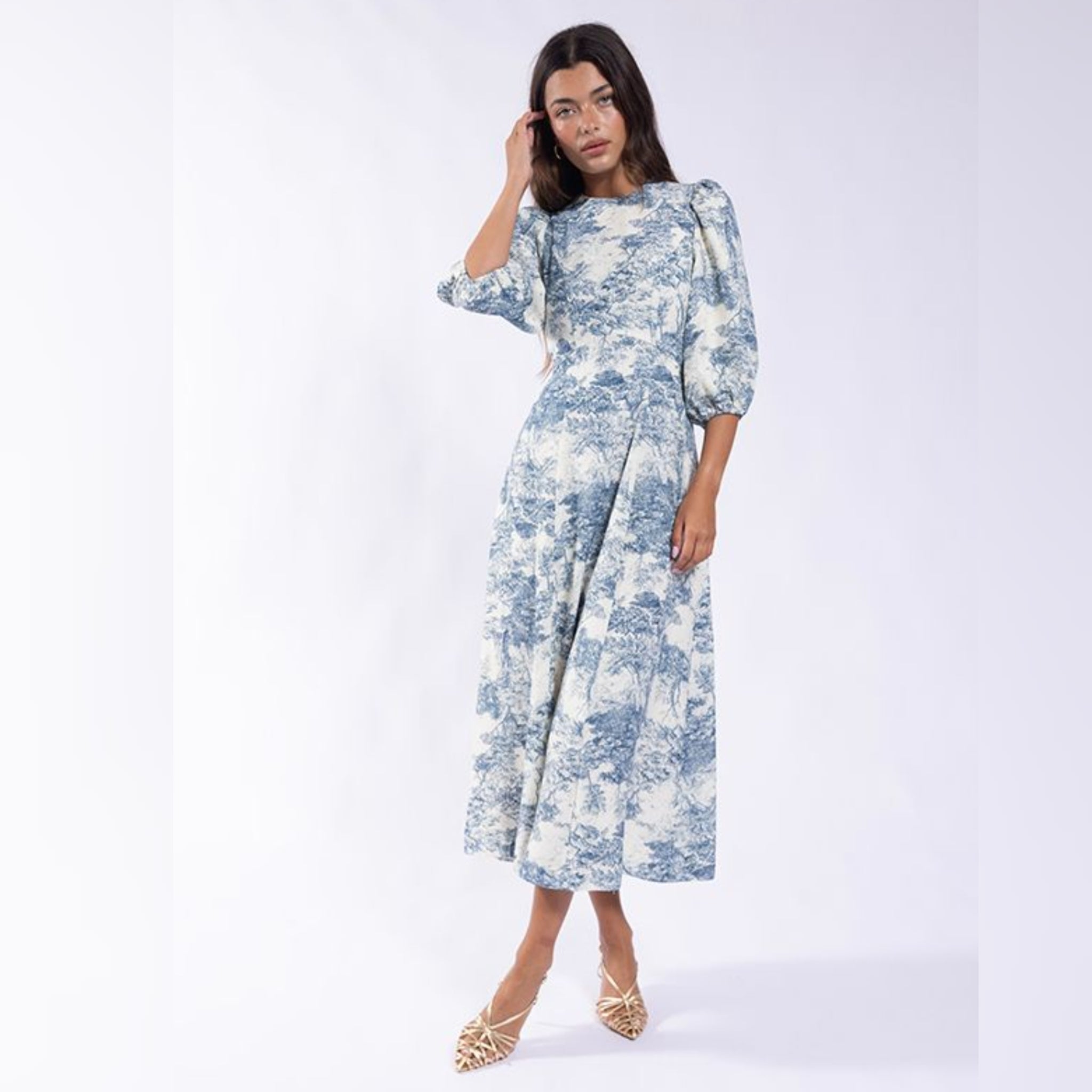 Blue Toile Empire Waist Dress Blue Toile Empire Waist Dress