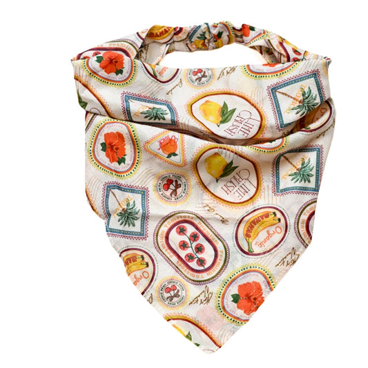 Fresh Pick Bandana Nicsessories