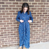 Megan Dress Blue Paisley Adina LV