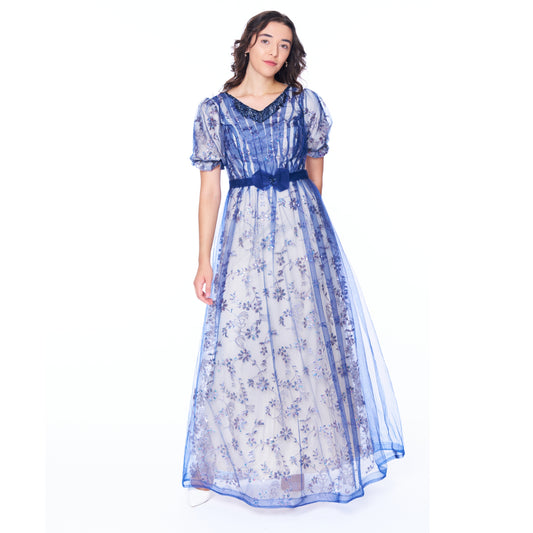 Blue Beaded Gown